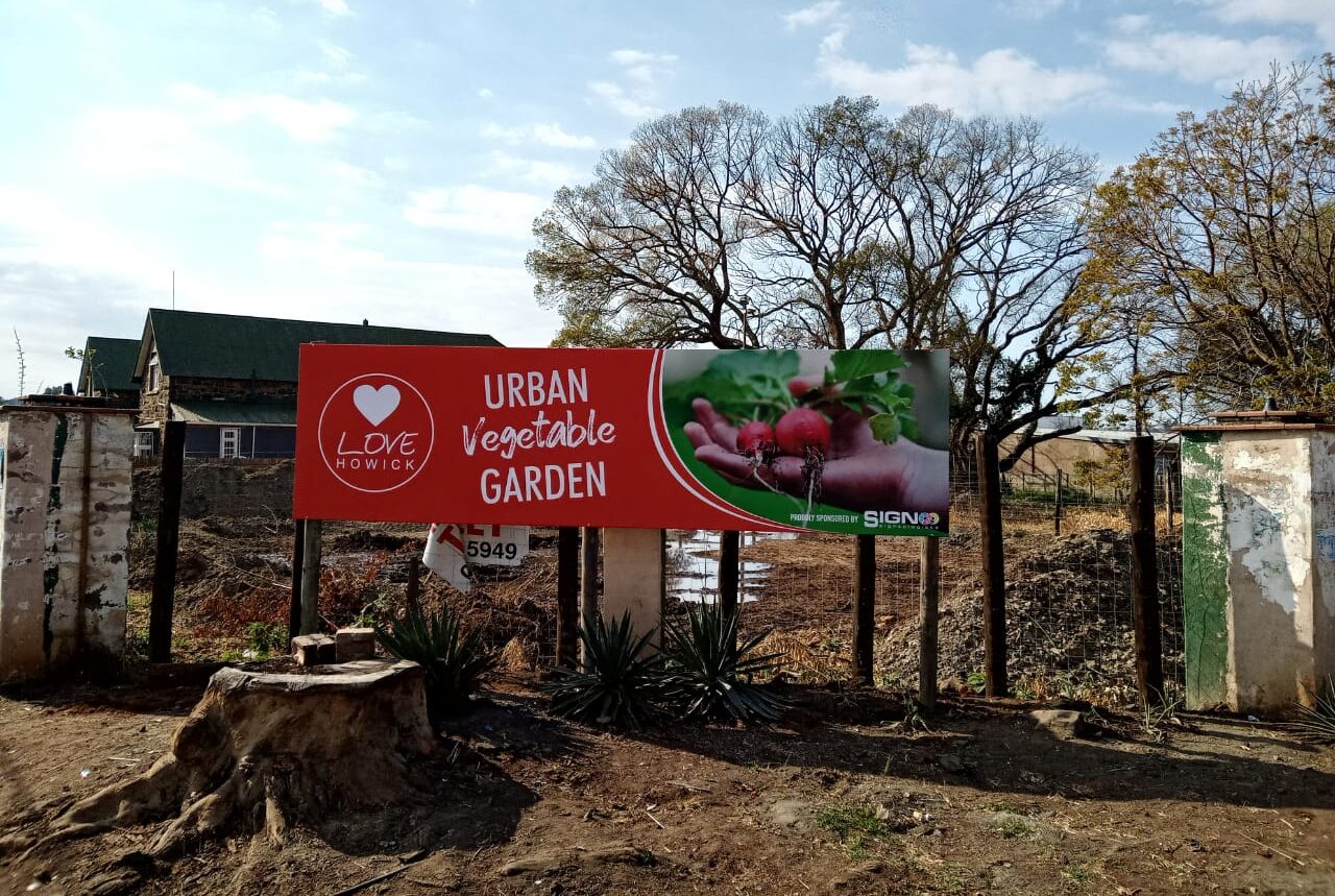 Urban Vegetable Garden