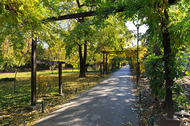 Green Spaces Howick